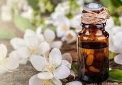 गर्मियों में रूटीन में ऐसे शामिल करें चमेली का तेल, ताजगी से भरपूर होगी आपकी सुबह