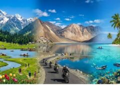 Ladakh जैसा अहसास और Shimla जैसी वादियां, Mainpat बना पर्यटकों के लिए नया Travel Destination