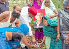 अखिलेश यादव के जन्मदिवस पर हरचंदपुर में हरियाली का महाअभियान